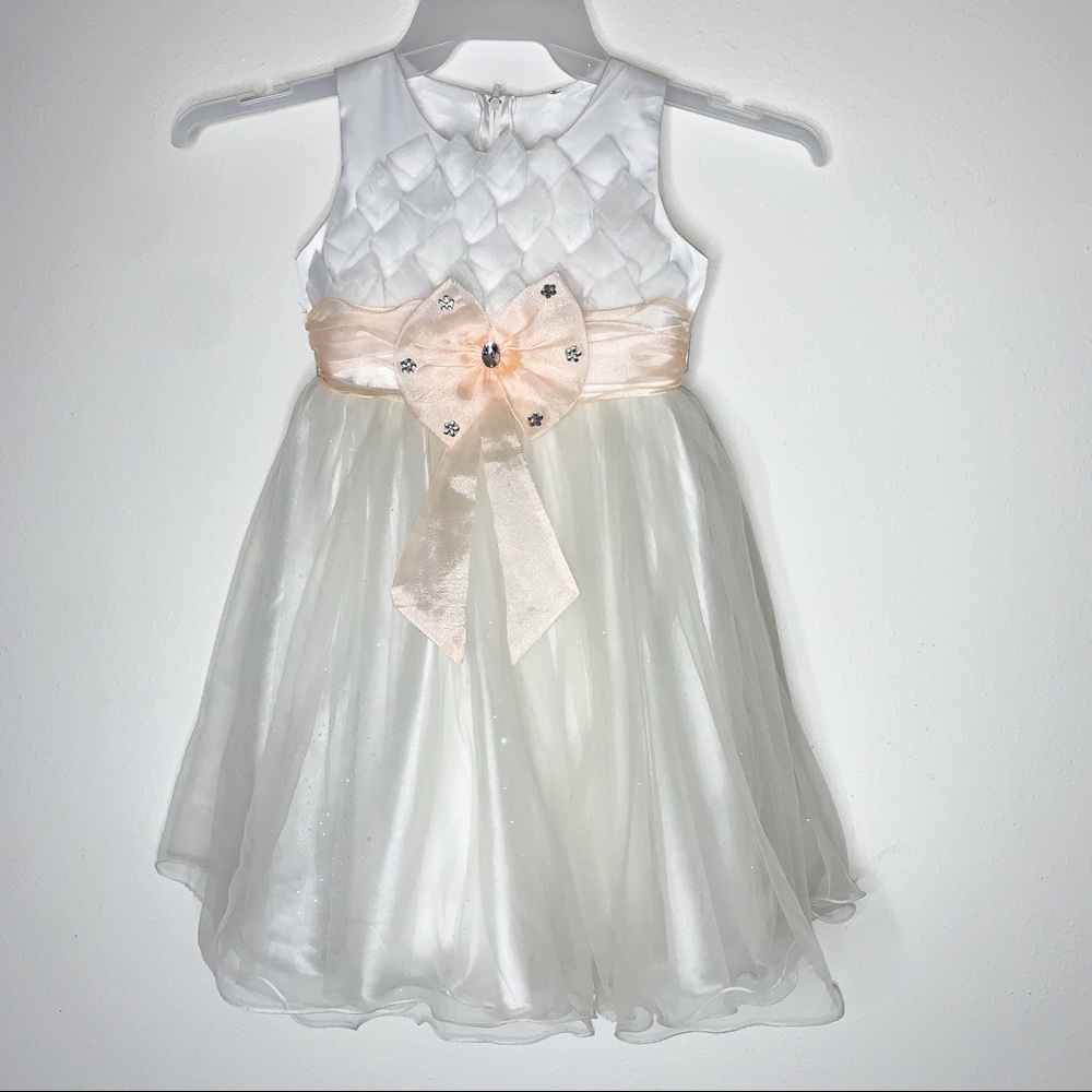 flower girl dress,wedding,family pic